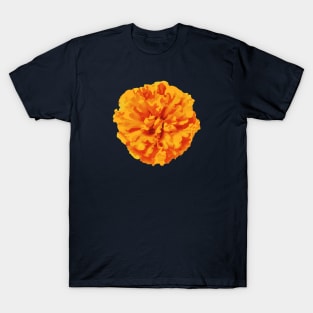 Orange Marigold Flower Abstract Nature Art T-Shirt